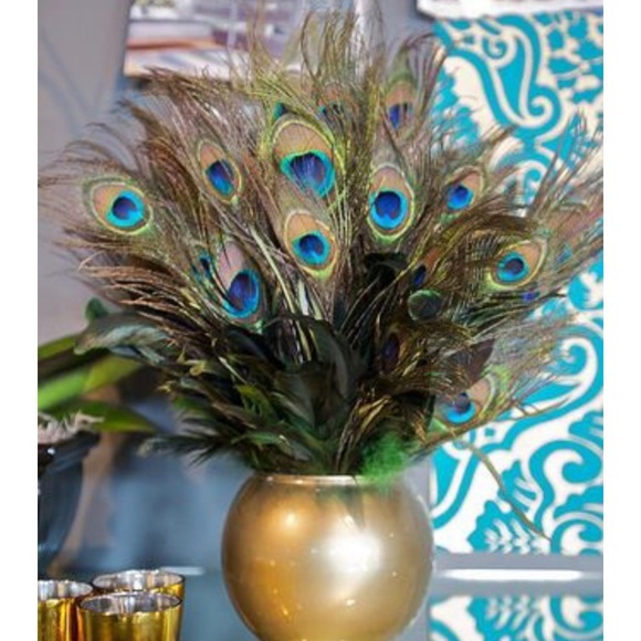 Authentic Peacock Feather Decor, Set of 2 - Picture 1 of 2